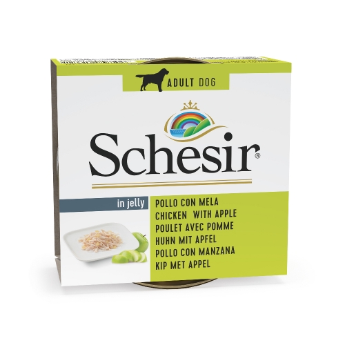 Schesir