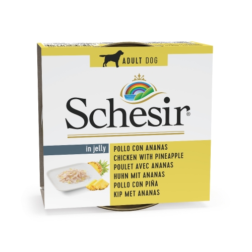 Schesir