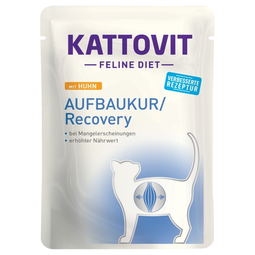 Kattovit