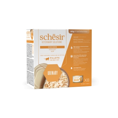 Schesir