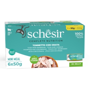 Schesir