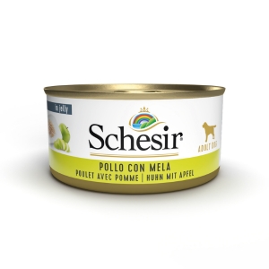Schesir