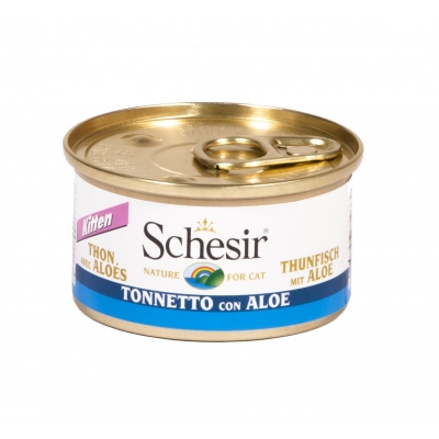 Schesir