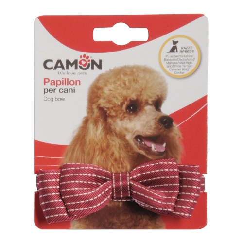 Camon