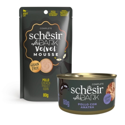 Schesir