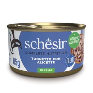 Schesir