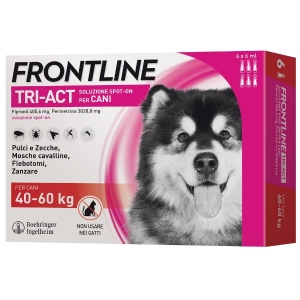 Frontline
