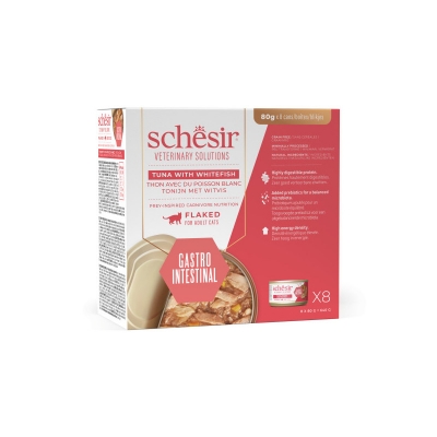 Schesir