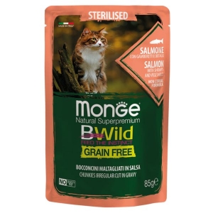 Monge BWild