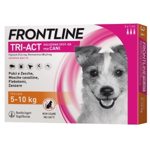 Frontline