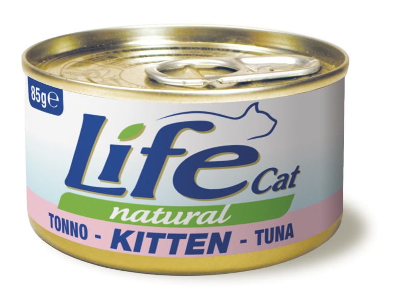 LifeCat