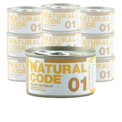 Natural Code