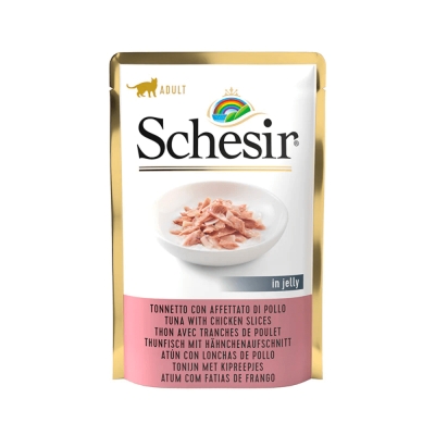Schesir