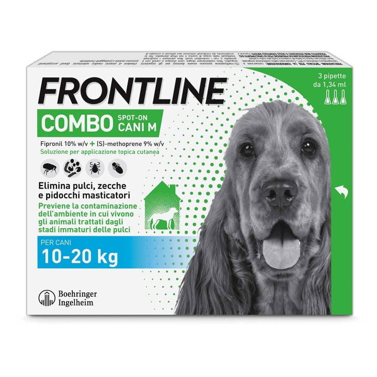 Frontline