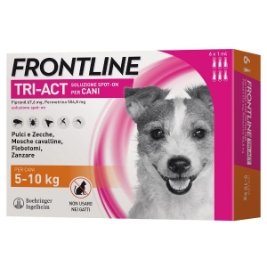 Frontline