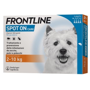 Frontline