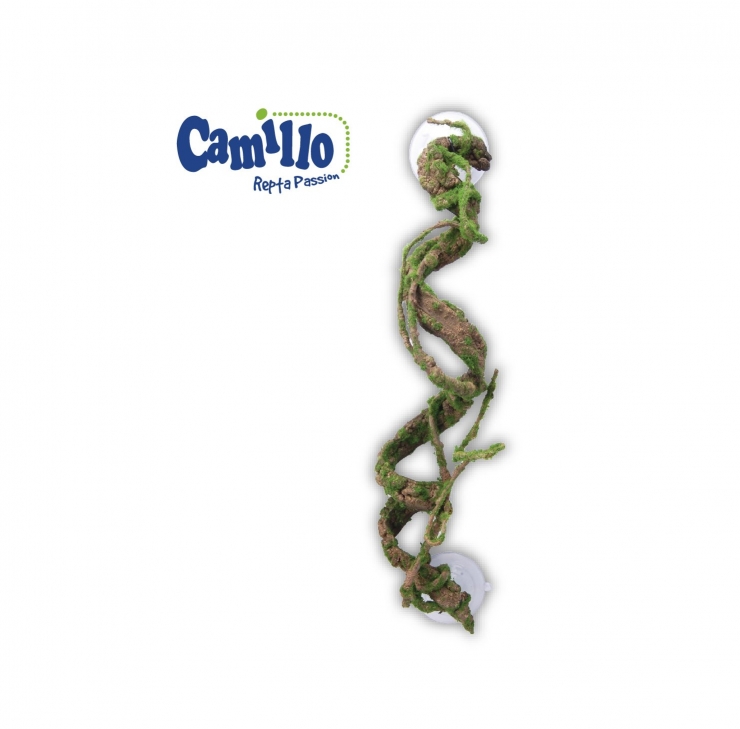 Camillo Repta Passion