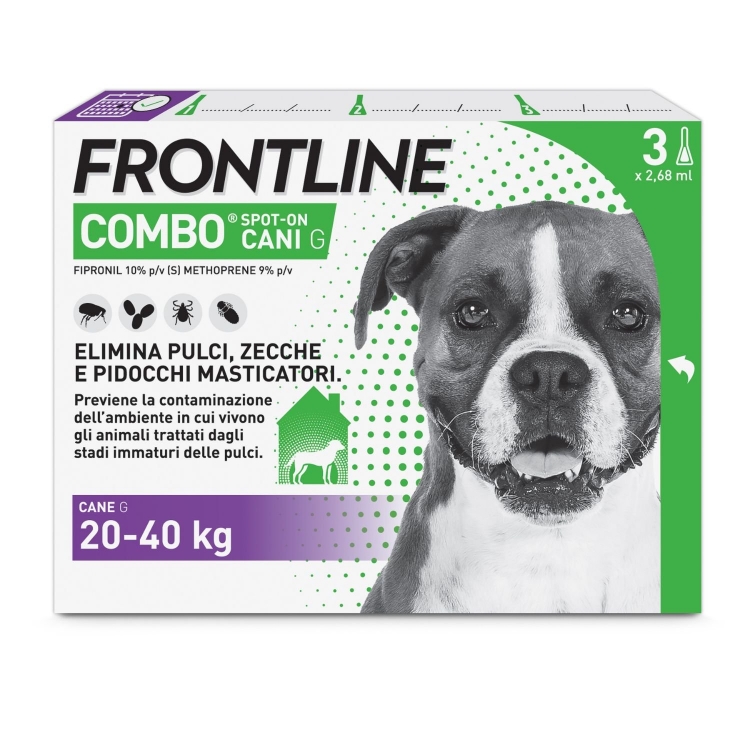 Frontline