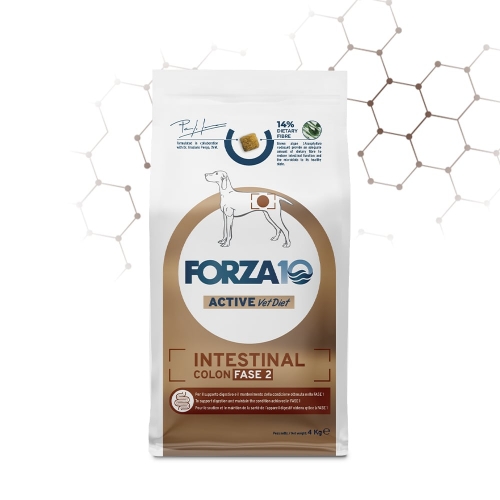 Forza 10 Active