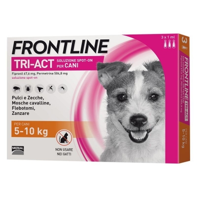 Frontline