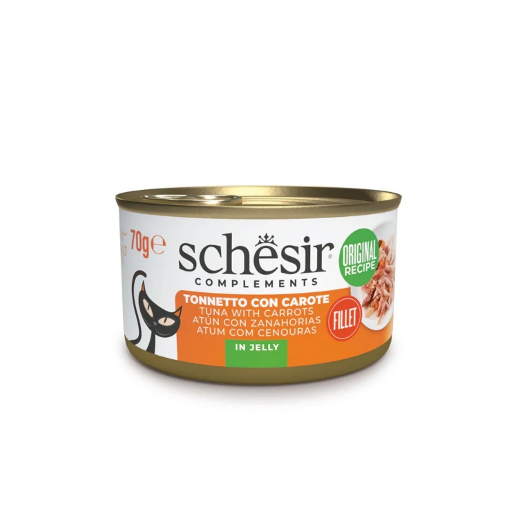 Schesir