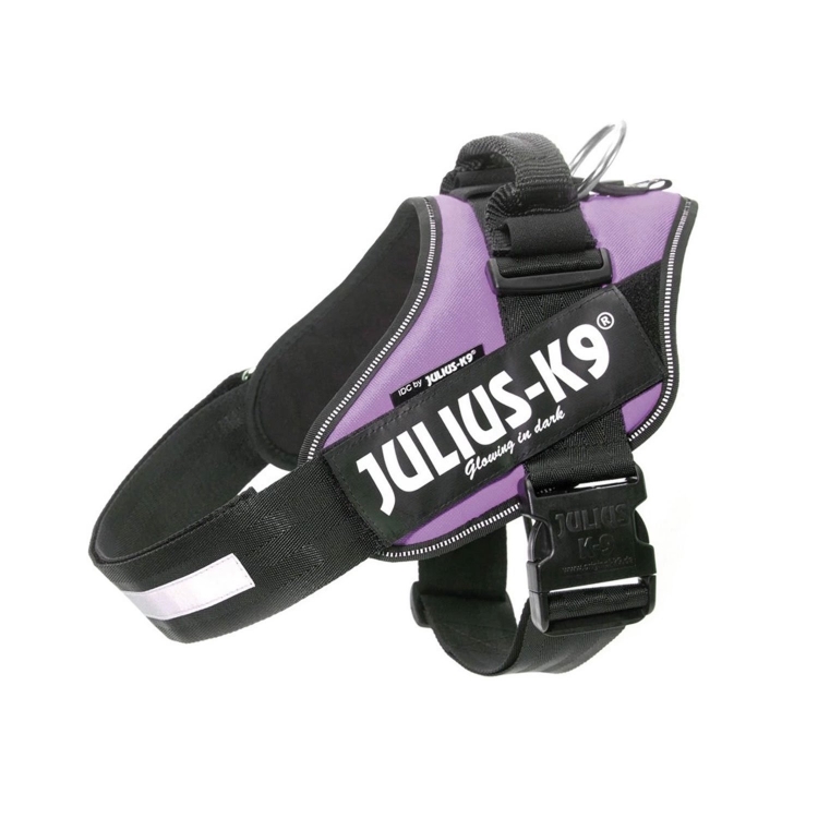 Julius-K9