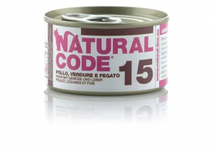 Natural Code
