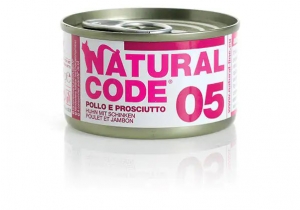 Natural Code