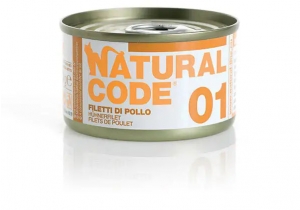 Natural Code
