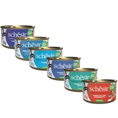 Schesir