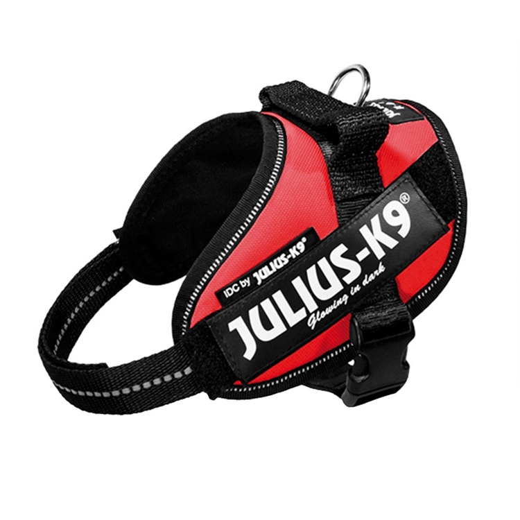 Julius