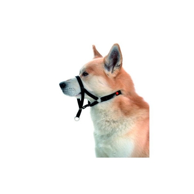M-Pets