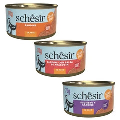 Schesir