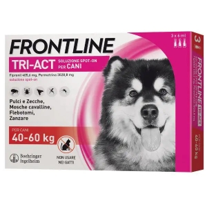 Frontline