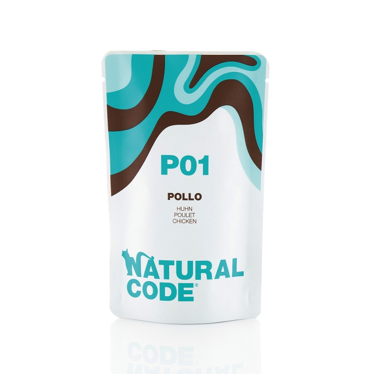 Natural Code