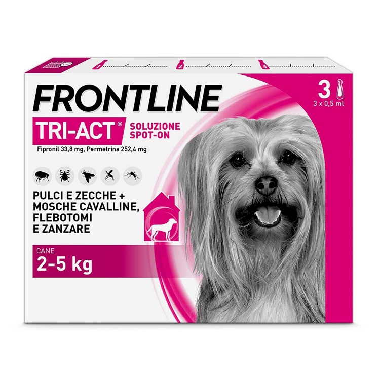 Frontline