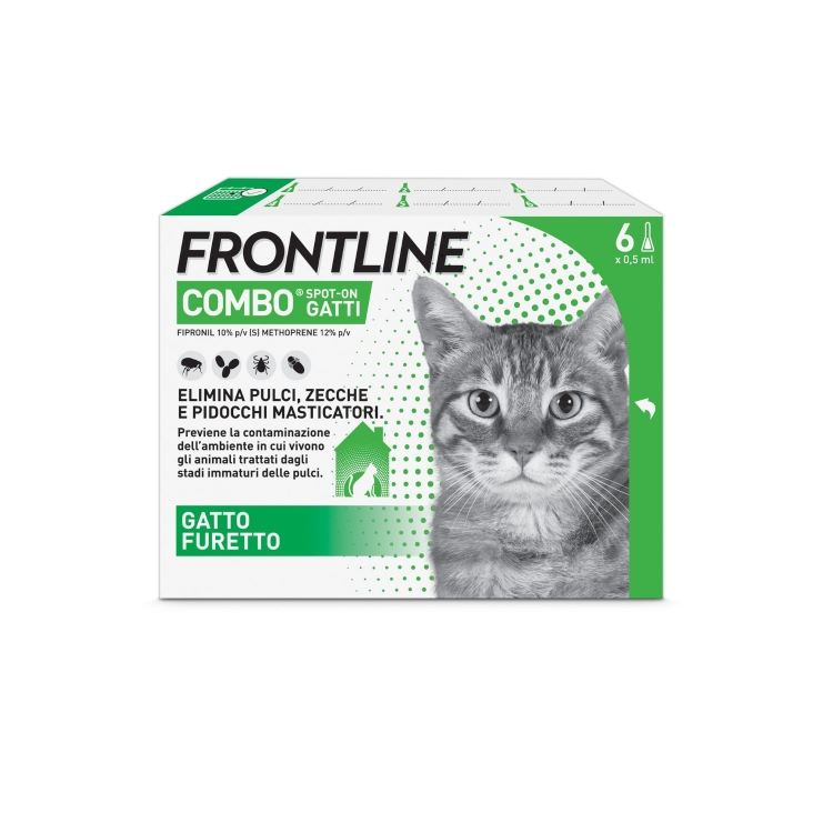 Frontline