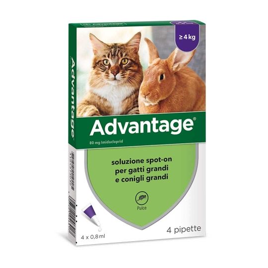 Advantage