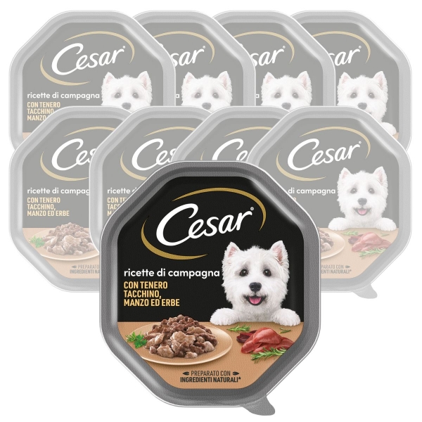 Cesar