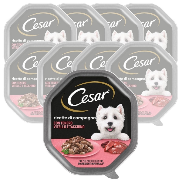 Cesar