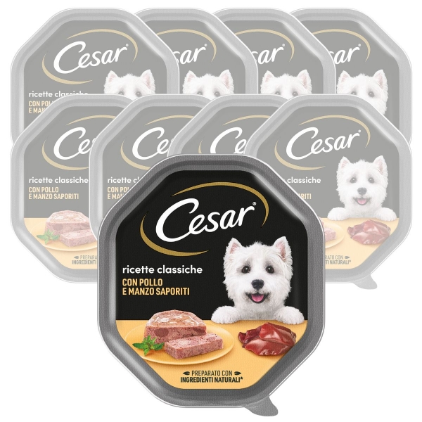 Cesar