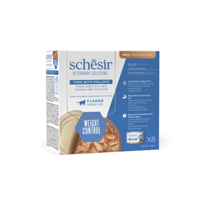 Schesir