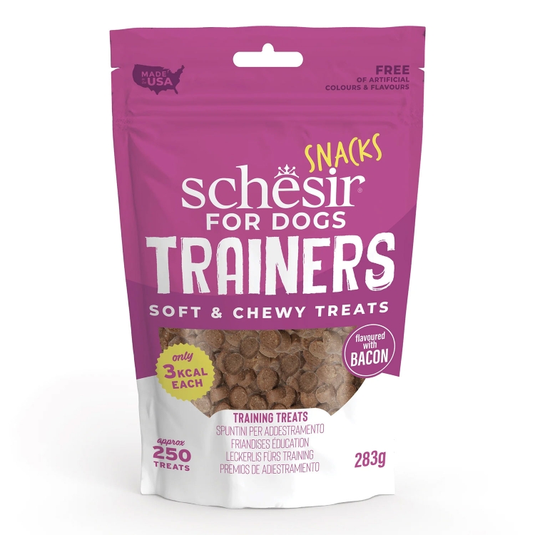 Schesir