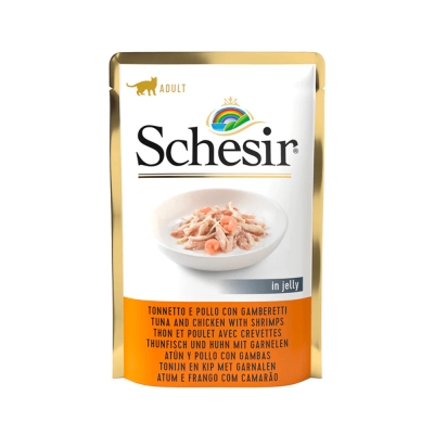 Schesir