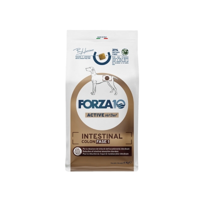Forza10