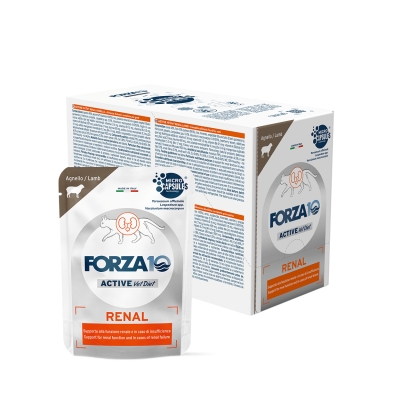 Forza10