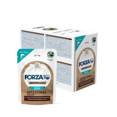 Forza10