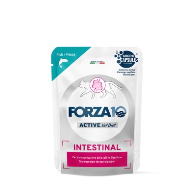 Forza10
