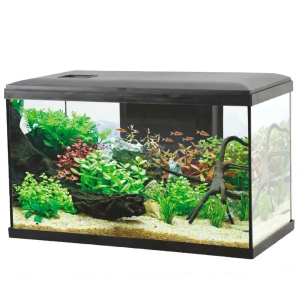 Aqualovers
