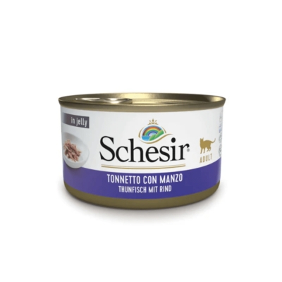 Schesir